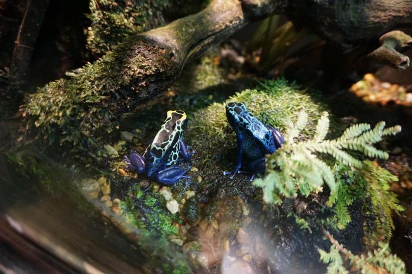 16864546_10210397842961362_2040217513673675986_n